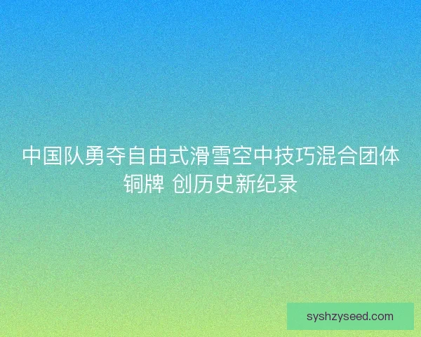 中国队勇夺自由式滑雪空中技巧混合团体铜牌 创历史新纪录