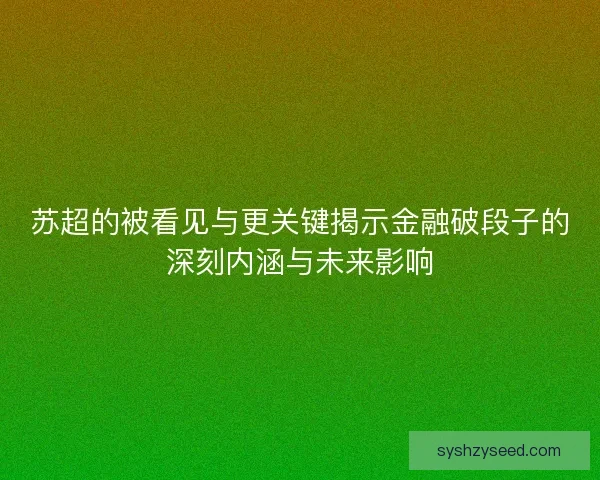 苏超的被看见与更关键揭示金融破段子的深刻内涵与未来影响