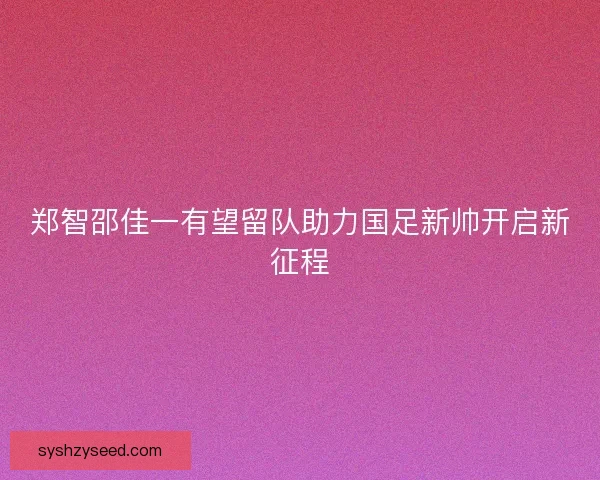 郑智邵佳一有望留队助力国足新帅开启新征程