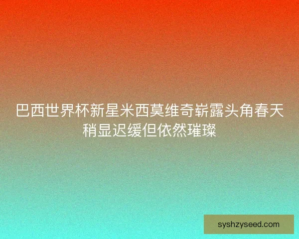 巴西世界杯新星米西莫维奇崭露头角春天稍显迟缓但依然璀璨
