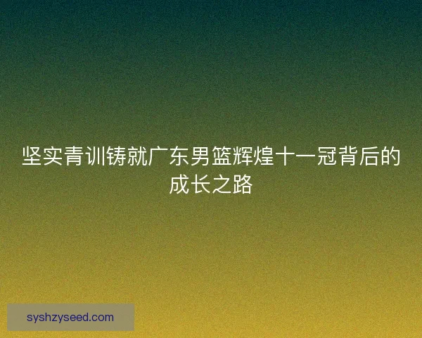 坚实青训铸就广东男篮辉煌十一冠背后的成长之路