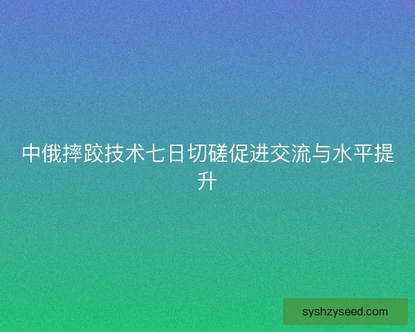 中俄摔跤技术七日切磋促进交流与水平提升