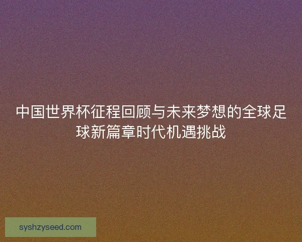 中国世界杯征程回顾与未来梦想的全球足球新篇章时代机遇挑战