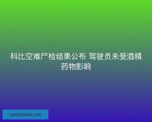 科比空难尸检结果公布 驾驶员未受酒精药物影响