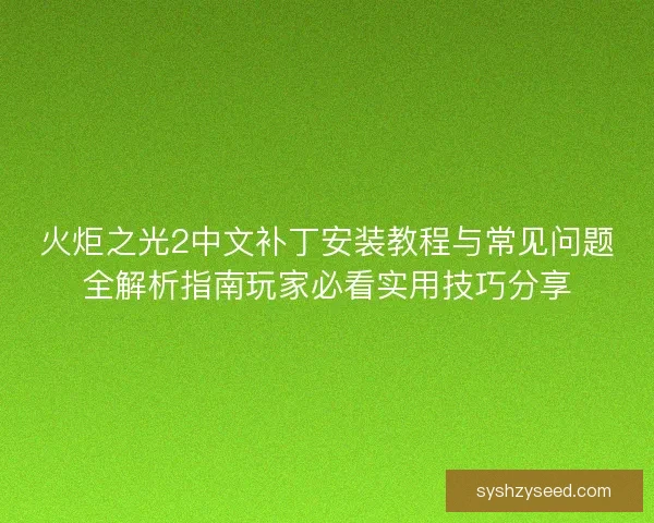 火炬之光2中文补丁安装教程与常见问题全解析指南玩家必看实用技巧分享